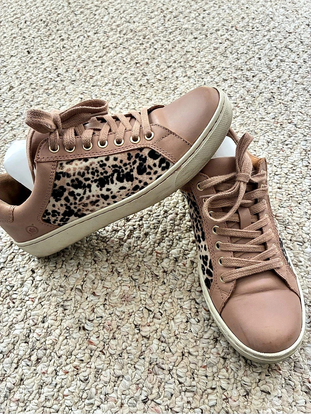 Born Sur Leopard Print Leather Sneakers US 7.5